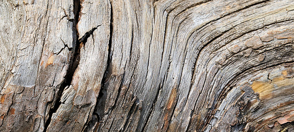 Woodgrain